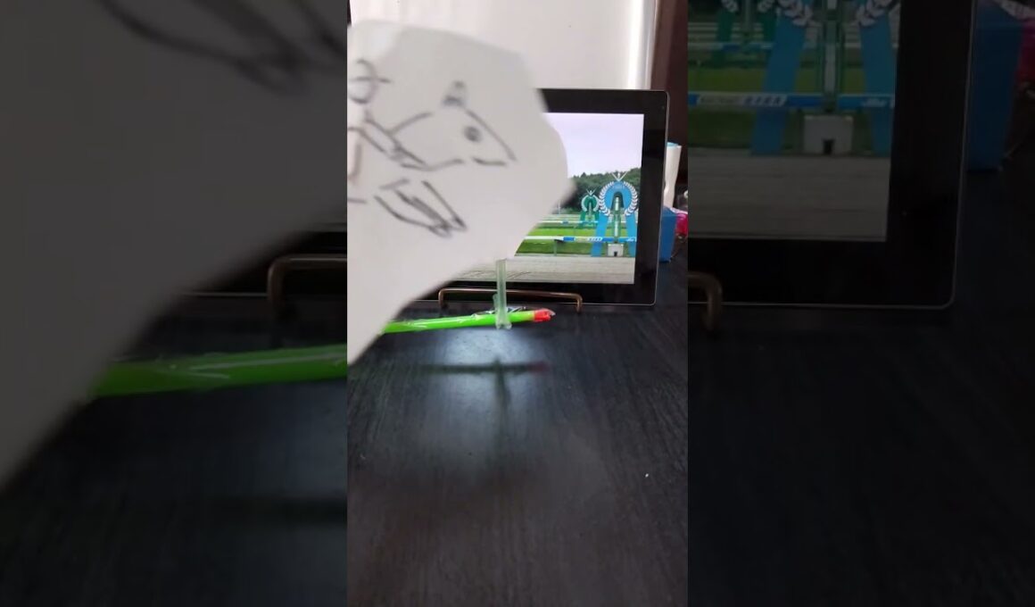 マイルチャンピオンシップ南部杯 Jpn Ⅰ#南部杯#粗品#当たらない#競馬予想#盛岡競馬 #2025#マイル#ダート#1600m