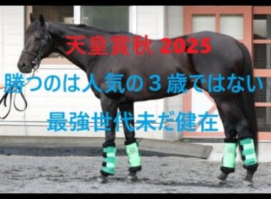天皇賞秋 2025 勝つのは人気の３歳ではない 最強世代未だ健在