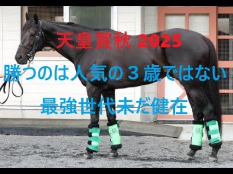 天皇賞秋 2025 勝つのは人気の３歳ではない 最強世代未だ健在
