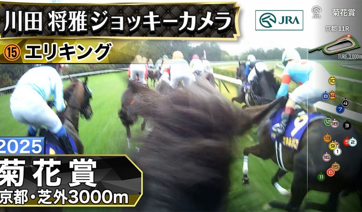 【ジョッキーカメラ】エリキング騎乗の川田将雅騎手ジョッキーカメラ映像｜2025年菊花賞｜JRA公式