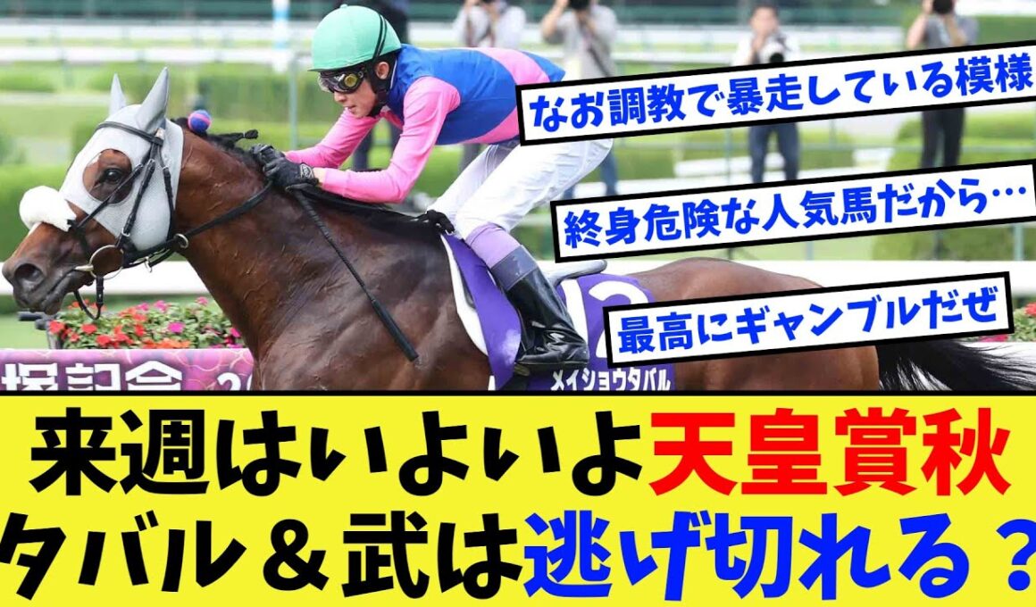 【競馬】来週はいよいよ天皇賞秋、メイショウタバル＆武豊は逃げ切れるのか？に対する反応集【競馬の反応集】