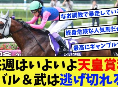 【競馬】来週はいよいよ天皇賞秋、メイショウタバル＆武豊は逃げ切れるのか？に対する反応集【競馬の反応集】