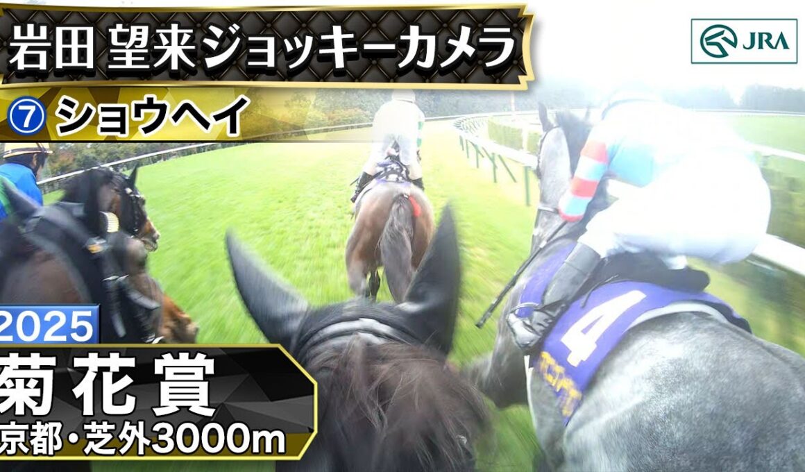 【ジョッキーカメラ】ショウヘイ騎乗の岩田望来騎手ジョッキーカメラ映像｜2025年菊花賞｜JRA公式