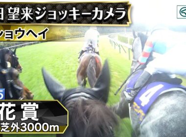 【ジョッキーカメラ】ショウヘイ騎乗の岩田望来騎手ジョッキーカメラ映像｜2025年菊花賞｜JRA公式