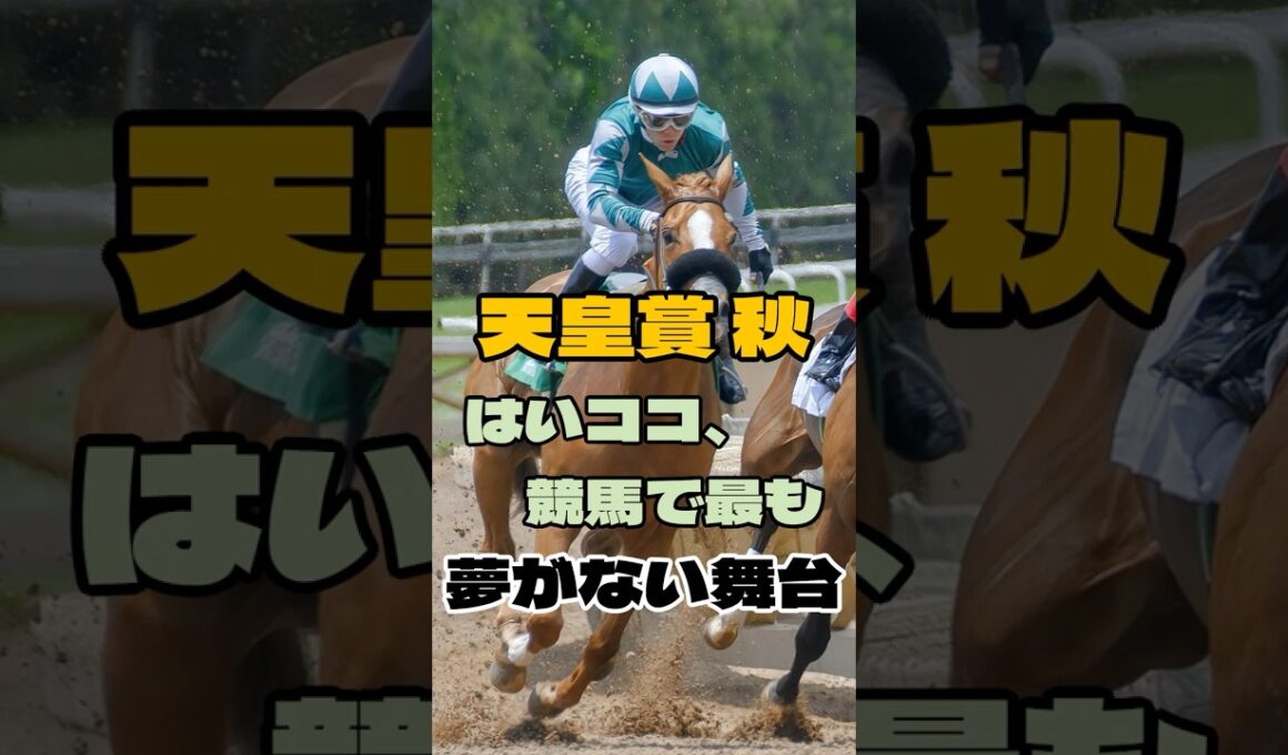 天皇賞秋 はいココ、競馬で最も夢がない舞台  #競馬 #東京競馬 #天皇賞秋 #重賞予想 #競馬予想 #無料予想 #競馬好き #馬券 #馬券生活 #競馬情報 #競馬ファン #競馬ニュース #競馬女子