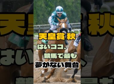 天皇賞秋 はいココ、競馬で最も夢がない舞台  #競馬 #東京競馬 #天皇賞秋 #重賞予想 #競馬予想 #無料予想 #競馬好き #馬券 #馬券生活 #競馬情報 #競馬ファン #競馬ニュース #競馬女子