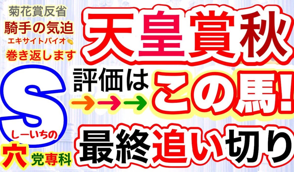 穴党専科❣️『天皇賞秋2025』しーいちの１週前追い切り評価、シランケド騎手変更、マスカレードボール、メイショウタバルの逃げは？