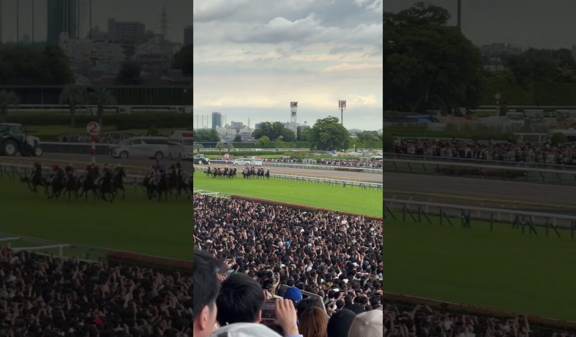 2025東京優駿(日本ダービー) ゲートイン完了〜1コーナーまでの入り