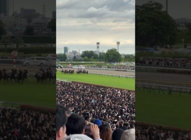 2025東京優駿(日本ダービー) ゲートイン完了〜1コーナーまでの入り