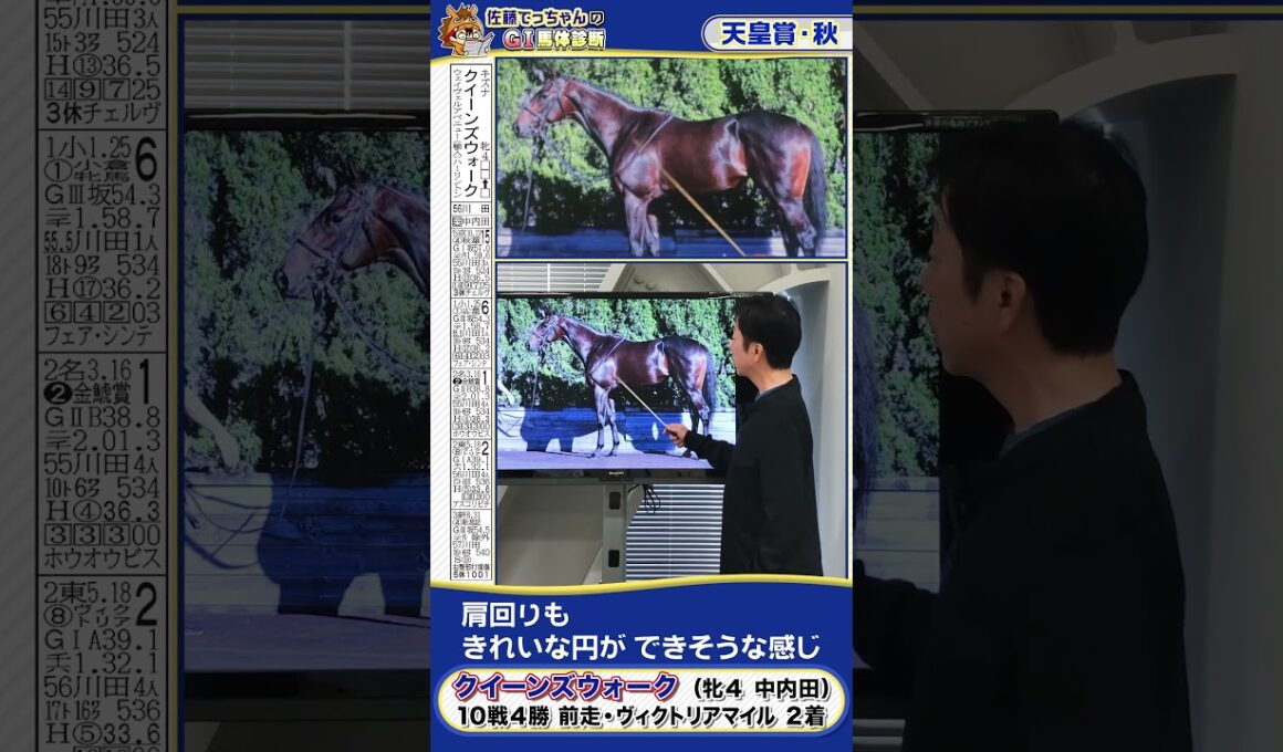 【2025年 天皇賞・秋】クイーンズウォークの馬体診断　 #shorts #競馬 #予想