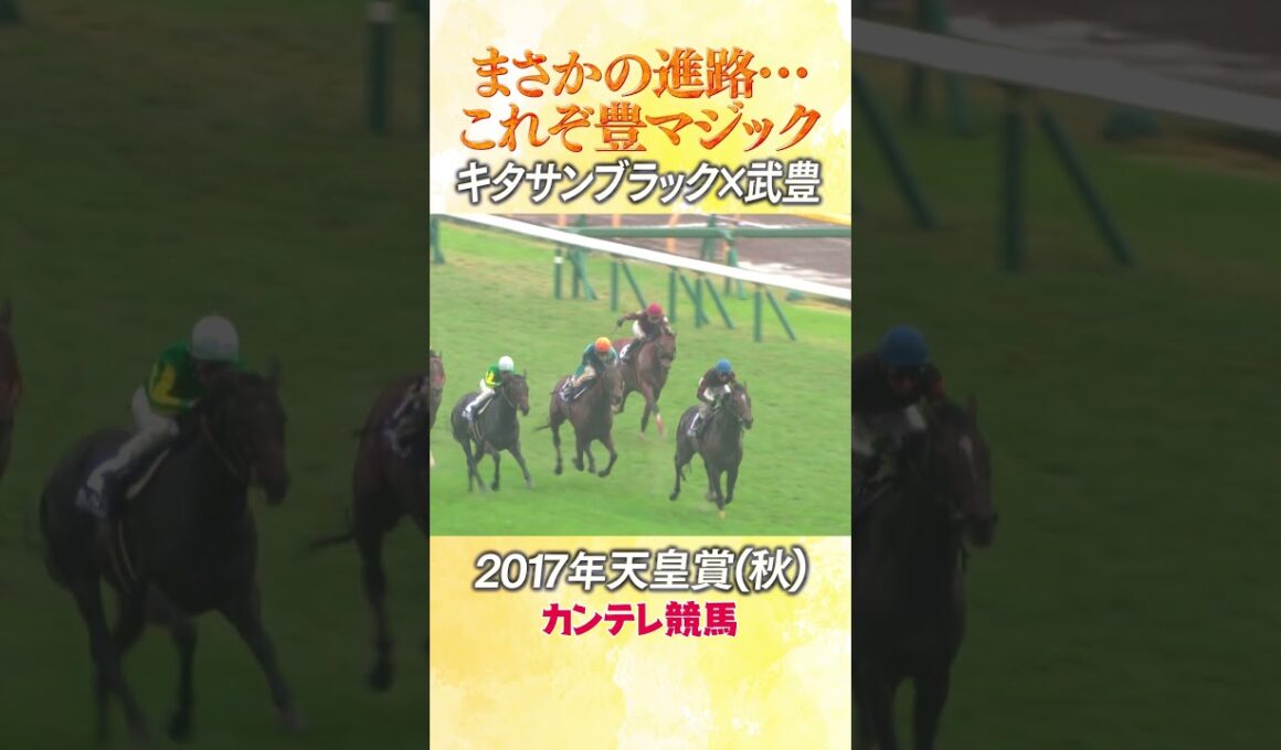 #競馬 #天皇賞秋 #キタサンブラック #武豊