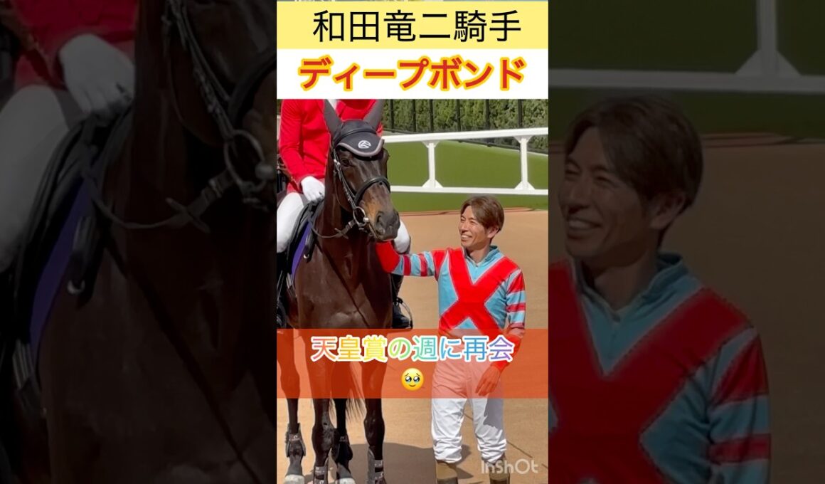 【和田竜二騎手&ディープボンド】天皇賞の週に再会🥹 #shorts #short #和田竜二 #ディープボンド
