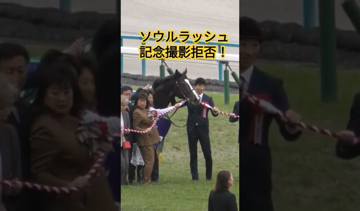 荒ぶるソウルラッシュ、吹っ飛ばす！マイルチャンピオンシップ口取り。#horse #競馬 #ウマ娘