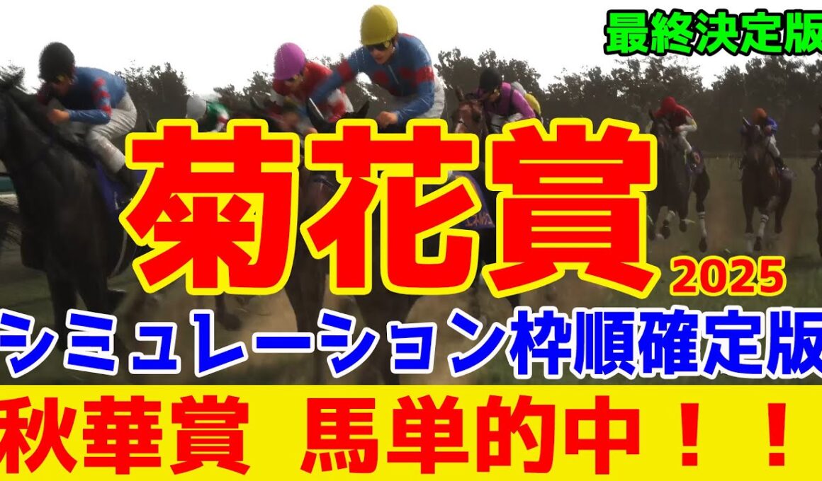 【菊花賞2025】【最終決定版】シミュレーション枠順確定版【ドラマチックカメラ】最終決断で本命にしたのはこの馬！展開・血統・追い切り予想から導き出した菊花賞馬はこの馬だ！！【競馬予想】稍重馬場 重馬場