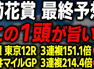 【菊花賞 2025 最終予想】絶対に買いたい本命馬と買い目を徹底解説します