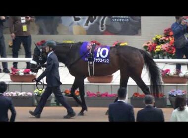 【大阪杯2025】全頭パドック 現地映像 ベラジオオペラ
