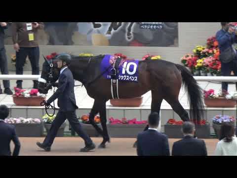 【大阪杯2025】全頭パドック 現地映像 ベラジオオペラ