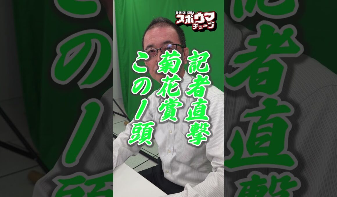 【記者直撃】#菊花賞 この１頭@鳥谷越明 記者 #shorts #競馬 #競馬予想