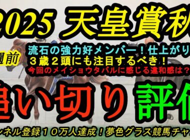 【1週前追い切り評価】2025天皇賞秋！この後注目の大一番で好メンバー！3歳ミュージアムマイル、マスカレードボールにも注目！メイショウタバルの違和感？