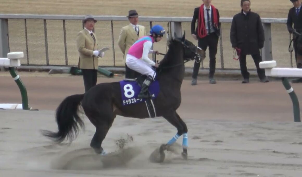 【フェブラリーステークス2025】本馬場入場 現地映像 コスタノヴァ