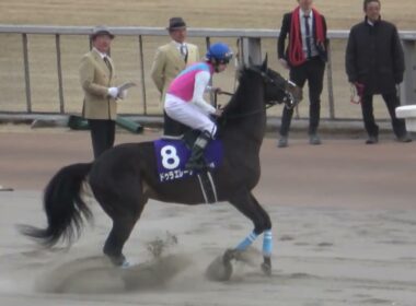 【フェブラリーステークス2025】本馬場入場 現地映像 コスタノヴァ