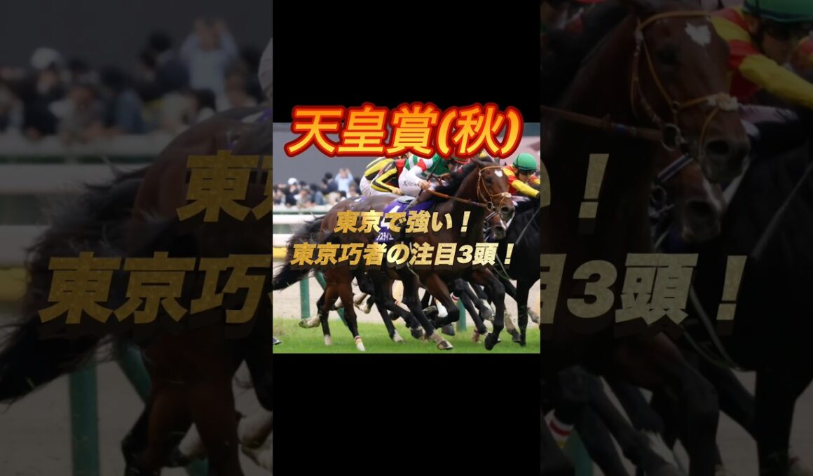 天皇賞秋2025   東京で強い！東京巧者の注目3頭！