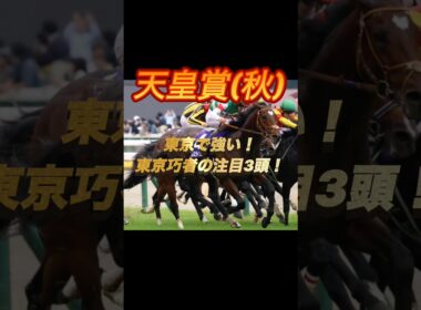 天皇賞秋2025   東京で強い！東京巧者の注目3頭！