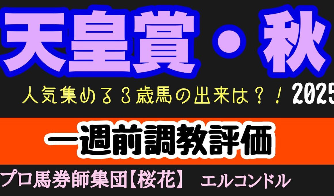 エルコンドル氏の天皇賞秋一週前調教評価！！いよいよ競馬ファンが楽しみにする秋の注目の一戦！今年は３歳馬が人気集めるが状態やいかに！？