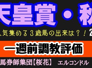 エルコンドル氏の天皇賞秋一週前調教評価！！いよいよ競馬ファンが楽しみにする秋の注目の一戦！今年は３歳馬が人気集めるが状態やいかに！？