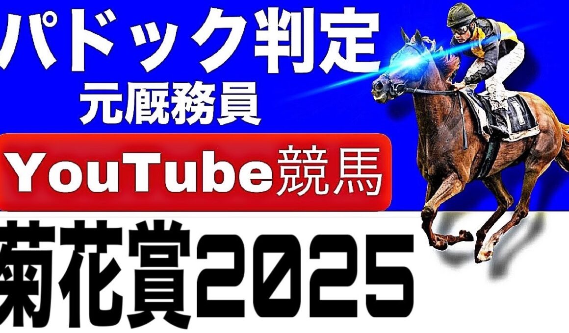 菊花賞2025完全予想！今年の注目馬とパドックを徹底解説！