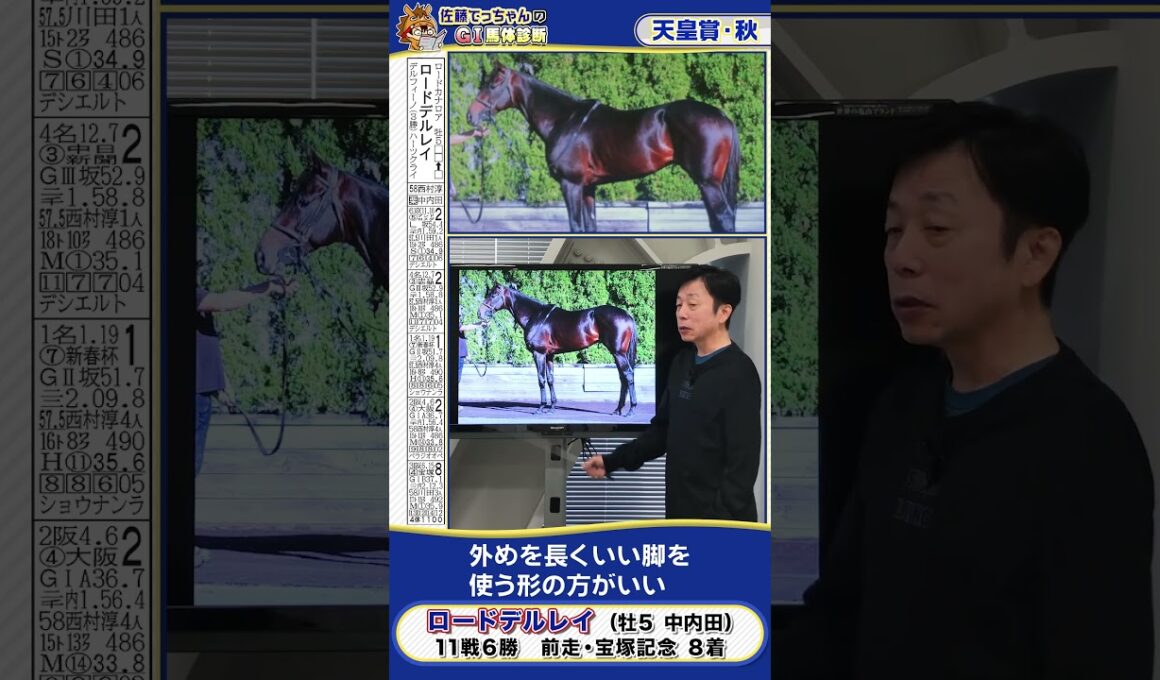 【2025年 天皇賞・秋】ロードデルレイの馬体診断　 #shorts #競馬 #予想