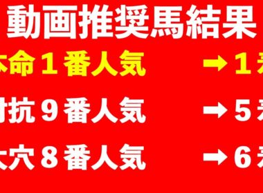 【菊花賞 2025】エネルジコVSエリキングの激論に最終結論！春のレースで最高評価の大穴馬！！ロングスパートに耐えきる馬はこの馬達だ！！