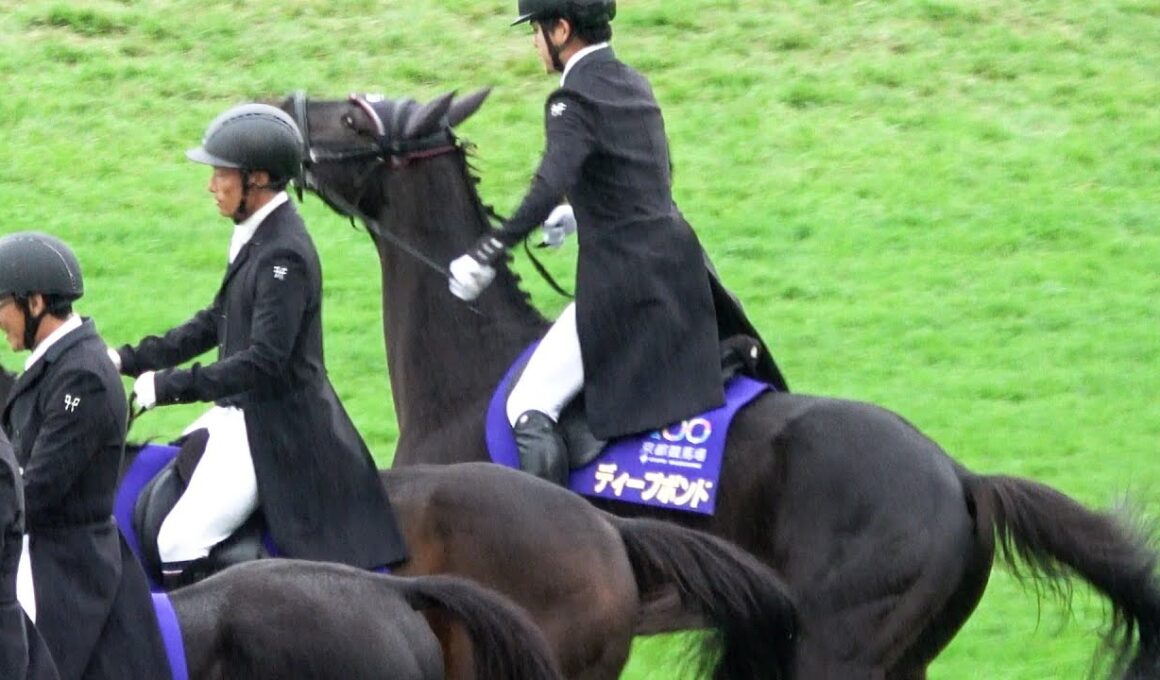 【菊花賞2025】ザ・チャンピオンが流れるなか ディープボンドが誘導した本馬場入場‼ 帰り拍手にちょっと興奮する 現地映像 エネルジコ