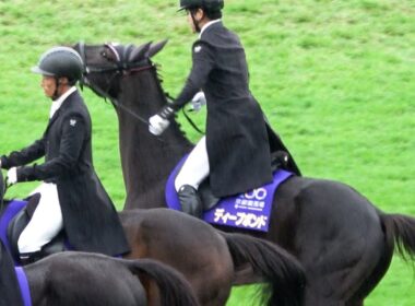 【菊花賞2025】ザ・チャンピオンが流れるなか ディープボンドが誘導した本馬場入場‼ 帰り拍手にちょっと興奮する 現地映像 エネルジコ