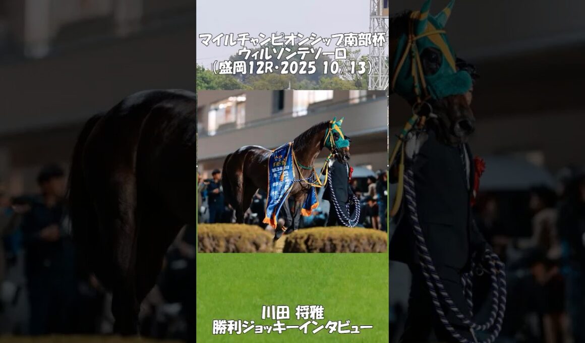 マイルチャンピオンシップ南部杯・ウィルソンテソーロ・川田将雅・勝利ジョッキーインタビュー （2025.10.13）