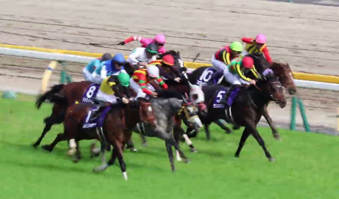 NHKマイルカップ GI【現地撮影】2025年5月11日