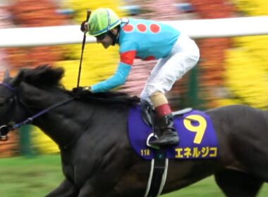 【菊花賞2025】前人未到の3連覇を達成し年間100勝も達成‼ ウイニングランと生ファンファーレ付き 現地映像 エネルジコ