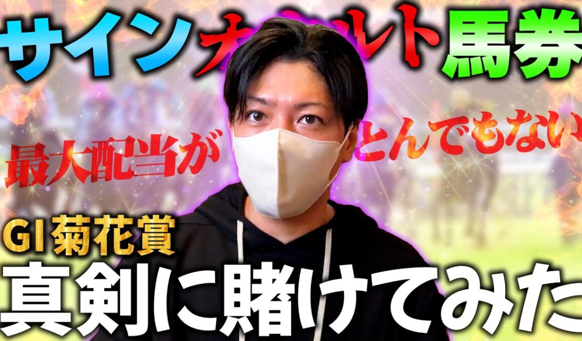 菊花賞をサイン馬券で勝負してみる