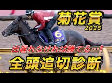 長距離適性抜群の馬はこの1頭！！　菊花賞2025　全馬追い切り診断！！　元馬術選手のコラム