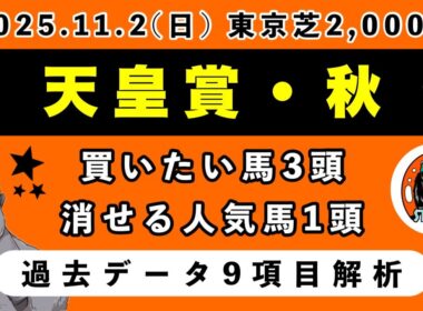 【天皇賞・秋2025】過去データ9項目解析!!買いたい馬3頭と消せる人気馬1頭について(競馬予想)