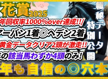 菊花賞2025【予想】昨年完璧的中！今年も黄金データが大穴指名！！4頭だけがクリアした過去の好走馬の共通点とは！？エネルジコ・エリキングに割って入るあの馬の存在