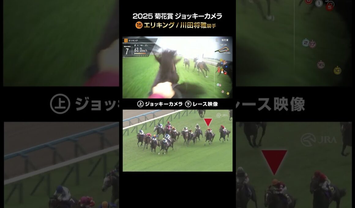 【ジョッキーカメラ×レース映像】2025年菊花賞 エリキング 川田将雅騎手 #shorts ｜JRA公式