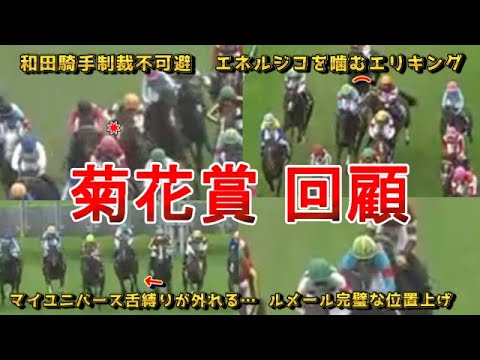 菊花賞 回顧!!   エリキングはエネルジコを噛んでいた…！？　元馬術選手のコラム