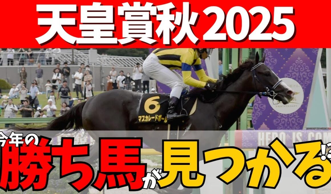【天皇賞秋 2025】今から楽しみでしかない！中距離馬集結🏇人気の3歳馬の評価は🏇そしてカロリーさんはもう見えている…？#競馬