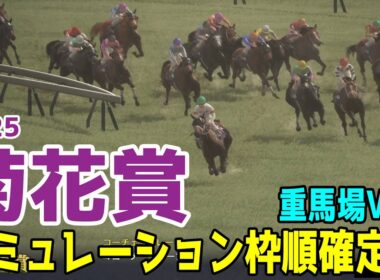 重馬場Ver.【菊花賞2025】シミュレーション枠順確定版 雨の影響で馬場悪化を想定してのシミュレーション！道悪を味方にする馬はこの馬だ！難解の菊花賞で馬券内に来る馬を推奨する！！【競馬予想】