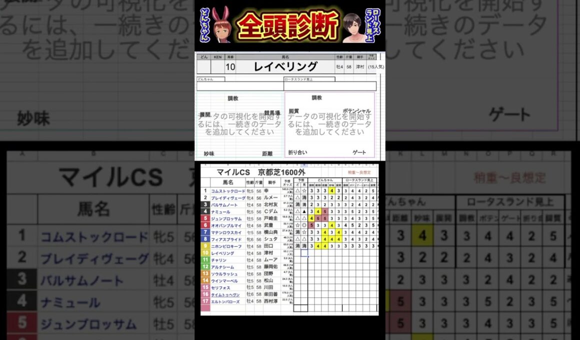 #レイベリング　#競馬予想ハイライト #全頭診断 #マイルチャンピオンシップ2024