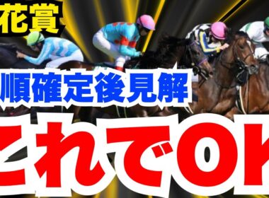 【菊花賞】鉄板！この動画に出てくる馬以外は来ません！