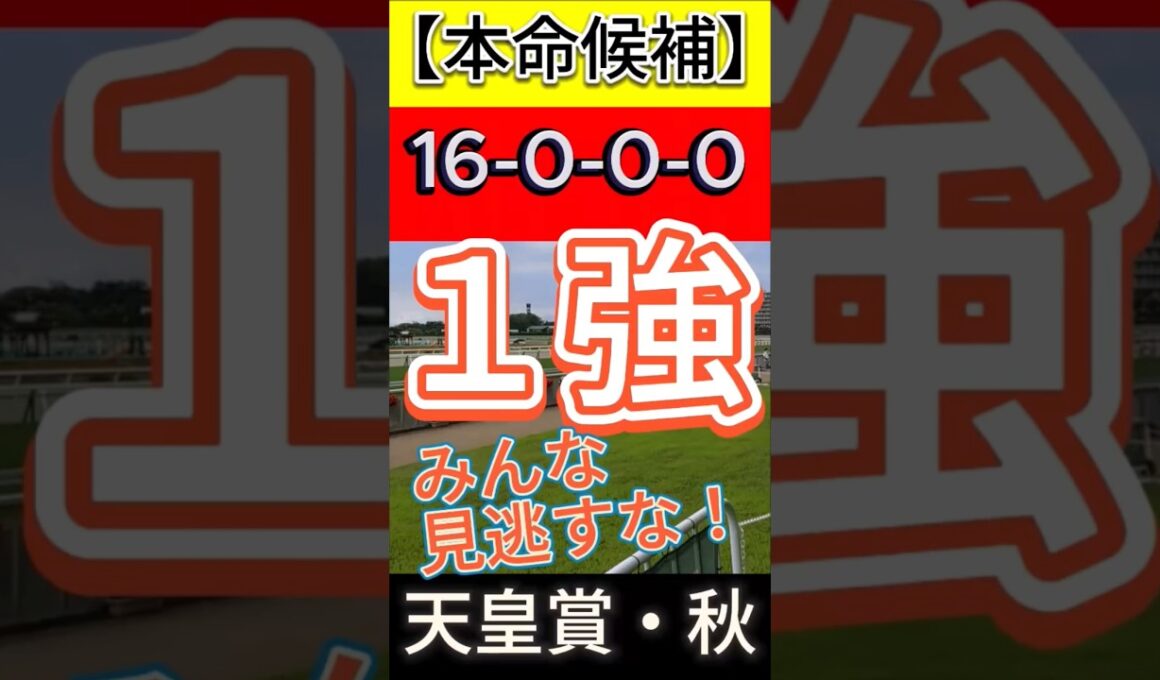天皇賞秋 2025（16-0-0-0）みんな見逃すな！１強！