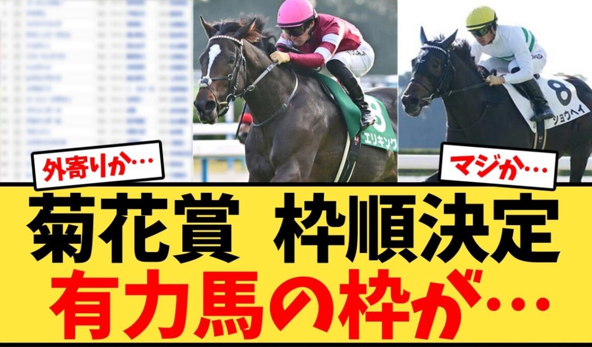 菊花賞  枠順決定 有力馬の枠が…【競馬反応集】