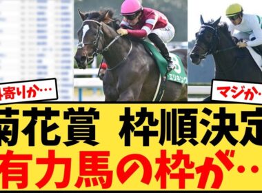 菊花賞  枠順決定 有力馬の枠が…【競馬反応集】